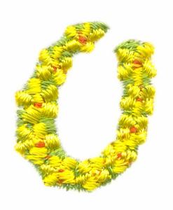 Daisychain Alphabet Number 0