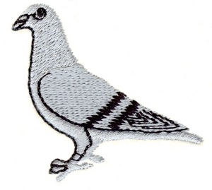 Standing Pigeon