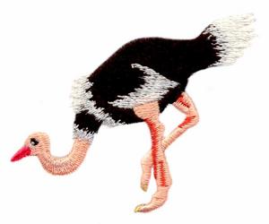 Ostrich