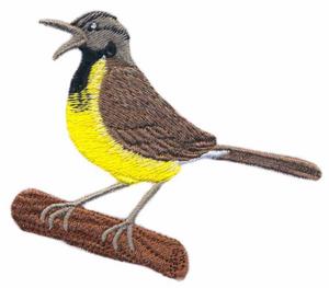 Western Meadowlark