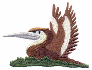 Eastern Brown Pelican