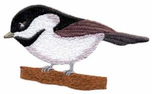 Chickadee