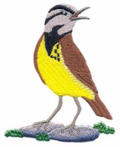 Western Meadowlark