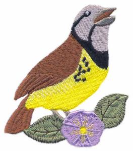 Western Meadowlark