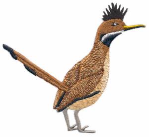 Roadrunner