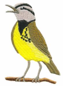 Western Meadowlark