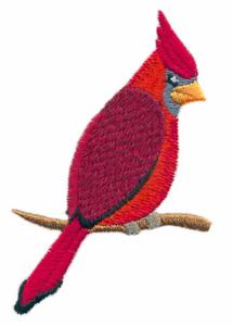 Cardinal