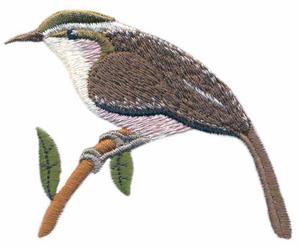 Great Carolina Wren