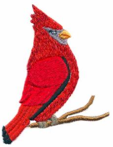 Cardinal