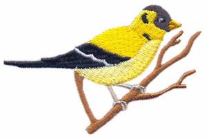 Willow Goldfinch