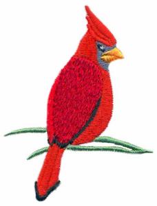 Cardinal