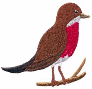 Robin