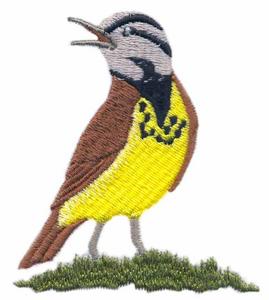 Western Meadowlark