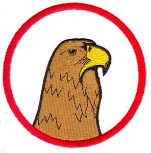 Eagle Head in Circle
