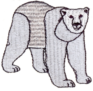 Polar Bear
