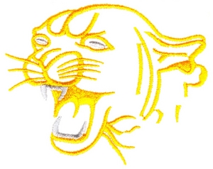Cat head