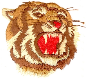 Tiger Head