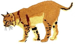 Bobcat -large