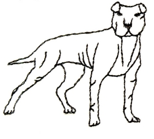 Dog (Outline)