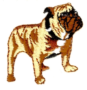 Bulldog - smaller