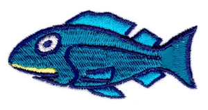 Big Eyed Fish