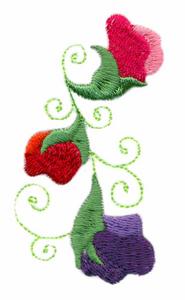 Triple Sweet Pea Border # 1