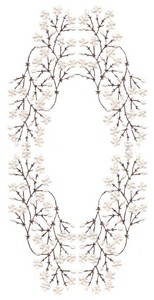 Baby's Breath Oval