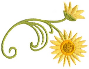 Strawflower Swirls 3