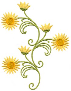 Strawflower Swirls  6