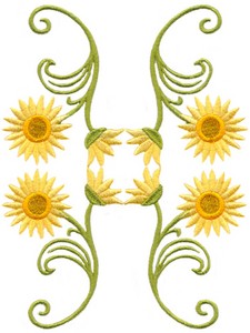 Strawflower Swirls 10