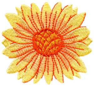 Gaillardia 11