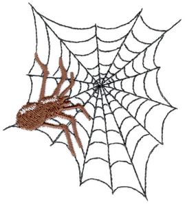 Spider and Web