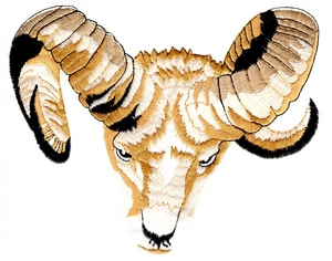 Ram Head - large