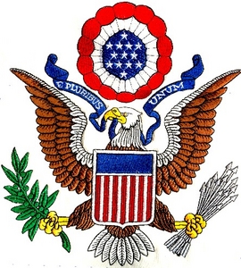 Patriotic Eagle