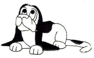 Basset Hound