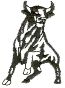 Wary Bull