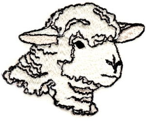 Sheep Head