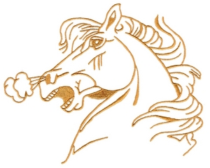 Horse Head Profile