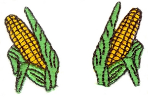 Two Corn Cobs