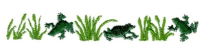 Frog Border Small