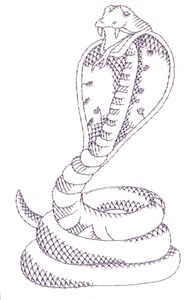 Cobra Outline (Larger)