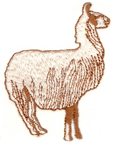 Llama