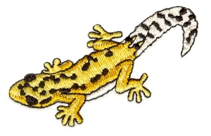 Gekko