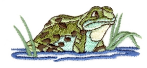 Bull Frog