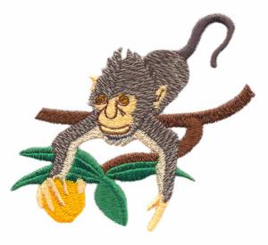 Monkey on Branch