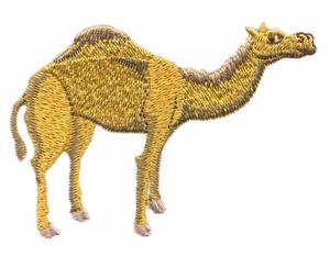 Camel