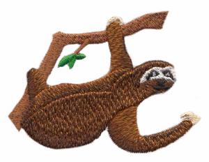 Sloth Hanging from Branch