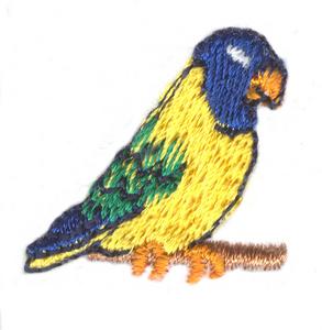 Mini Budgie