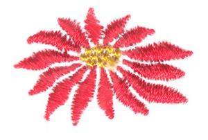 Mini Poinsettia