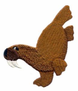 Handstand Walrus
